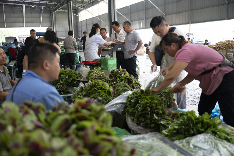 1596415278792680.jpg 1596415278792680.jpg