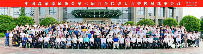 1597019566996086.jpg 1.jpg