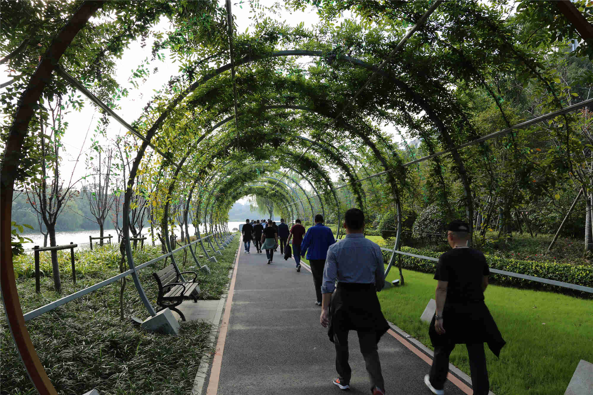 1635748265357345.jpg 1635748265357345.jpg