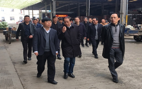 2017年3月16日下午，嘉興市委常委、常務(wù)副市長樓建明帶領(lǐng)市級相關(guān)部門負(fù)責(zé)人視察嘉興蔬菜批發(fā)市場
